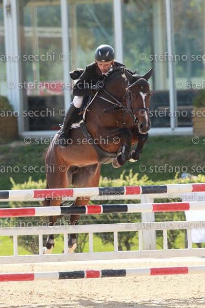 SPADONI_QUITE_GIO CAV 2011_(1055) SS3_2530.jpg